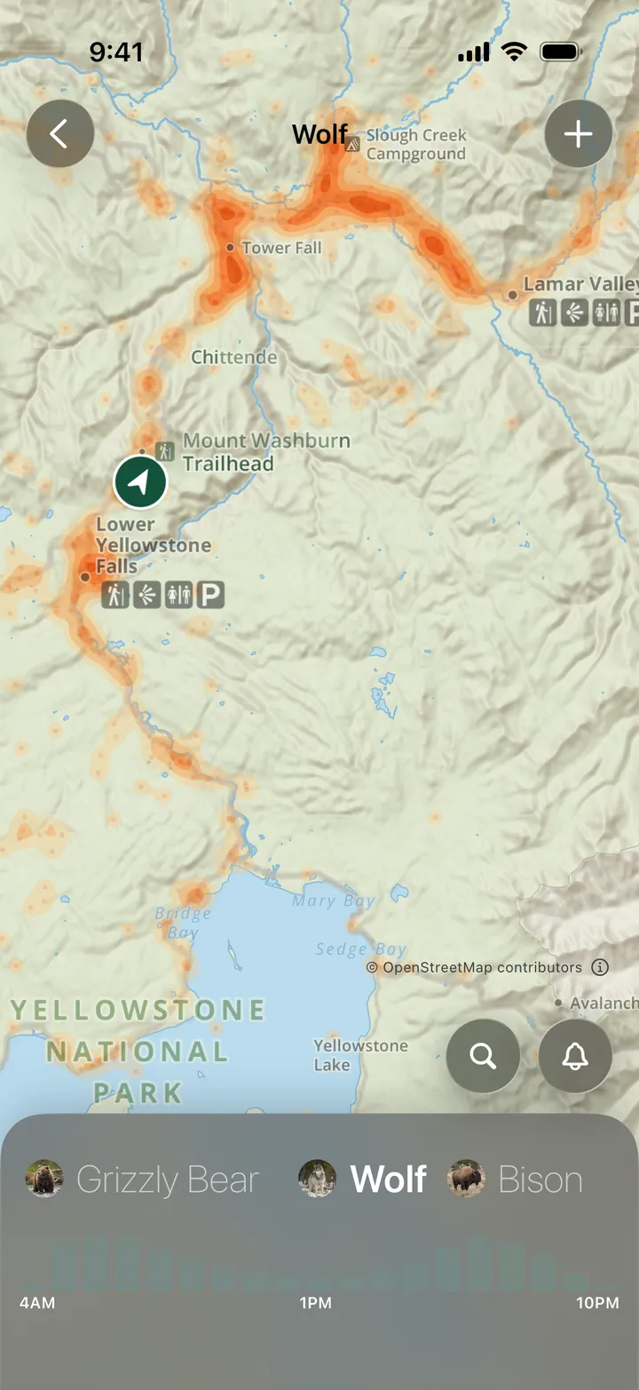 Wolf sighting heatmap in Parkwolf, brightest around Tower Fall, Slough Creek, and Lamar Valley in Yellowstone